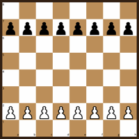 The Pawn Game starting position